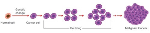 Diagram of the progression of cancer cells